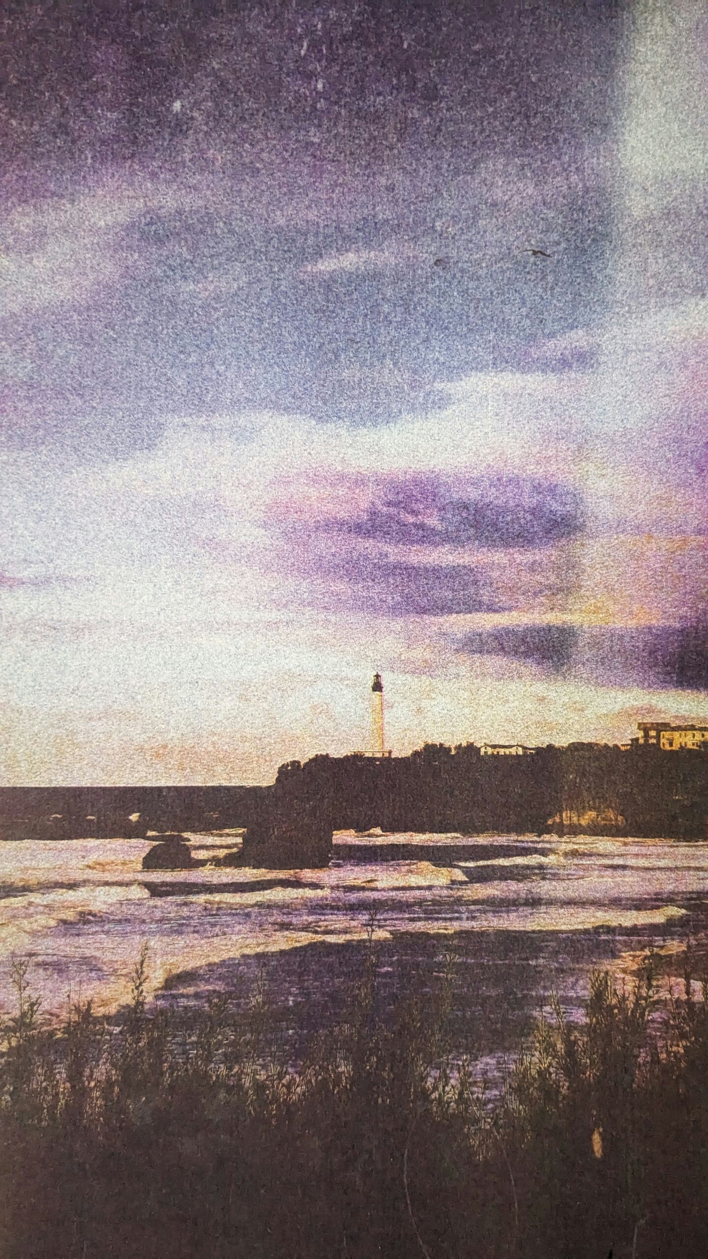 Life in technicolor II