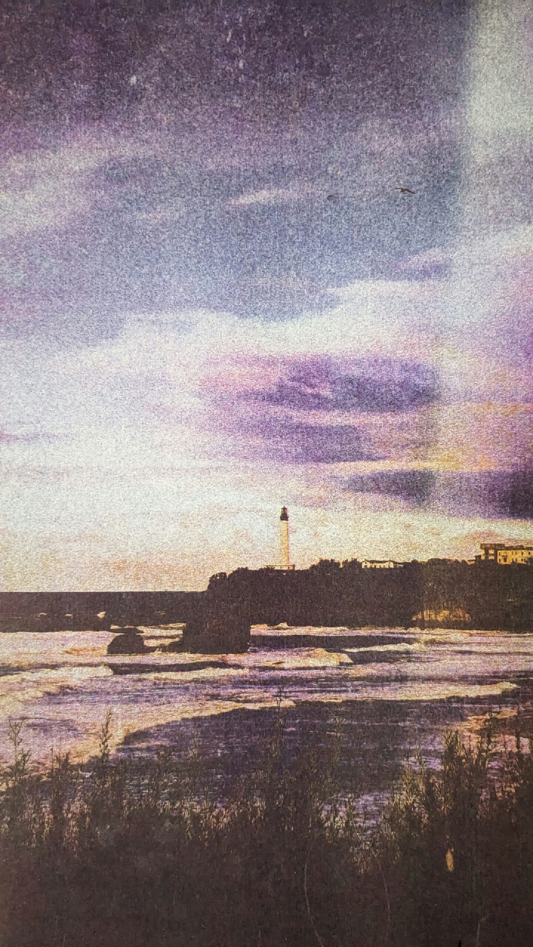 Life in technicolor II